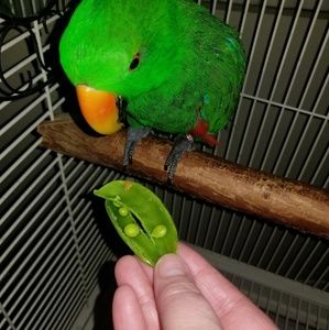 Meet your Posher, Tonya